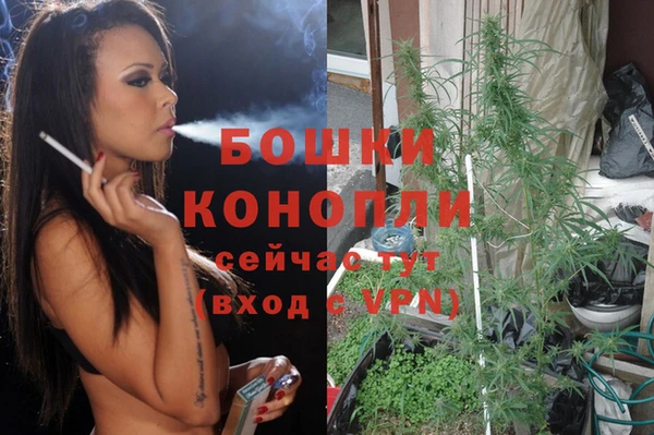 прущий лед Аркадак